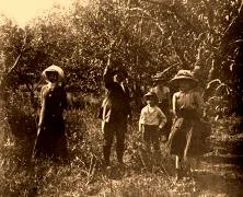 EH01B - Promenade, chemin de la quinta