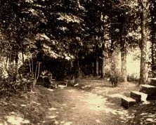 V0446 - Coutainville, jardin de la villa Lemaître