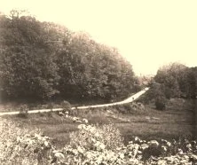 V0545 - Route du vallon de la Courtine