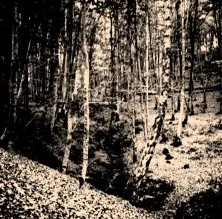 V0549 - Les environs