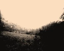 V0550
