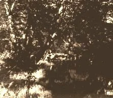 V0551 - Pêche aux écrevissesà La Courtine
