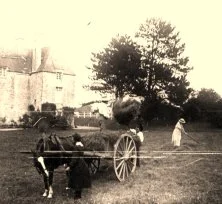 V0567 - Les foins à Vierville