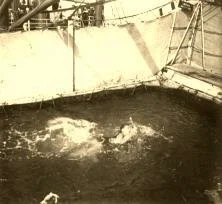 V0741