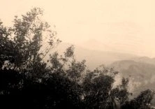 V0832 - Teneriffe, pic de Teyde