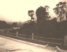 V0840 - Rio, route de Petropolis