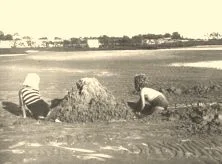 V0878 - Plage du Riachuelo, Jean-Paul et Yves
