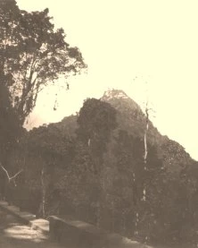 V1034