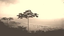 V1035 - Rio de Janeiro, plages, février 1936