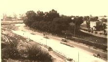 V1043 - Les jardins de la Société du Port de Rosario, 10/1936