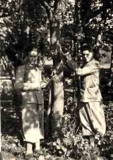 Promenade en forêt, Michel et François