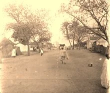 V0012 - Rue à Dakar