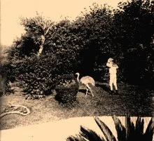 V0122 - Jean et le nandou