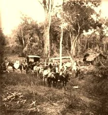 V0193 - 29 mai 1909, Caravane sur la "picada"