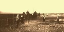V0329 - Goudj El Beghal, 28 avril 1911, Campagne de la Moulouya, un attelage récalcitrant