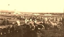 V0340