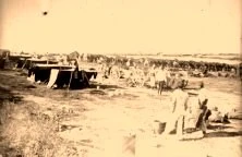 V0343
