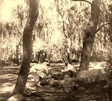 V0348 - Le méchoui