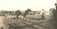 V1358 - un "rodeo", dressage de cheval par un "gaucho"