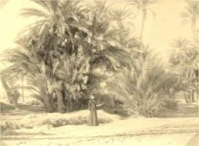 Marguerite en Tunisie, en grand deuil de sa mère