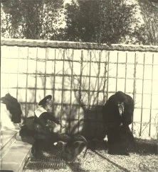 V7214 - 1901 - Hélène, Jean et le chien, Ermont