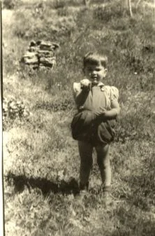 Laurent 1950
