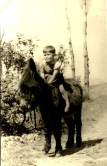 Laurent 1950