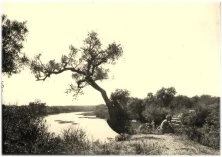 Ancien pont destiné aux charrois d'enrochements