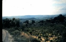 Provence 1965